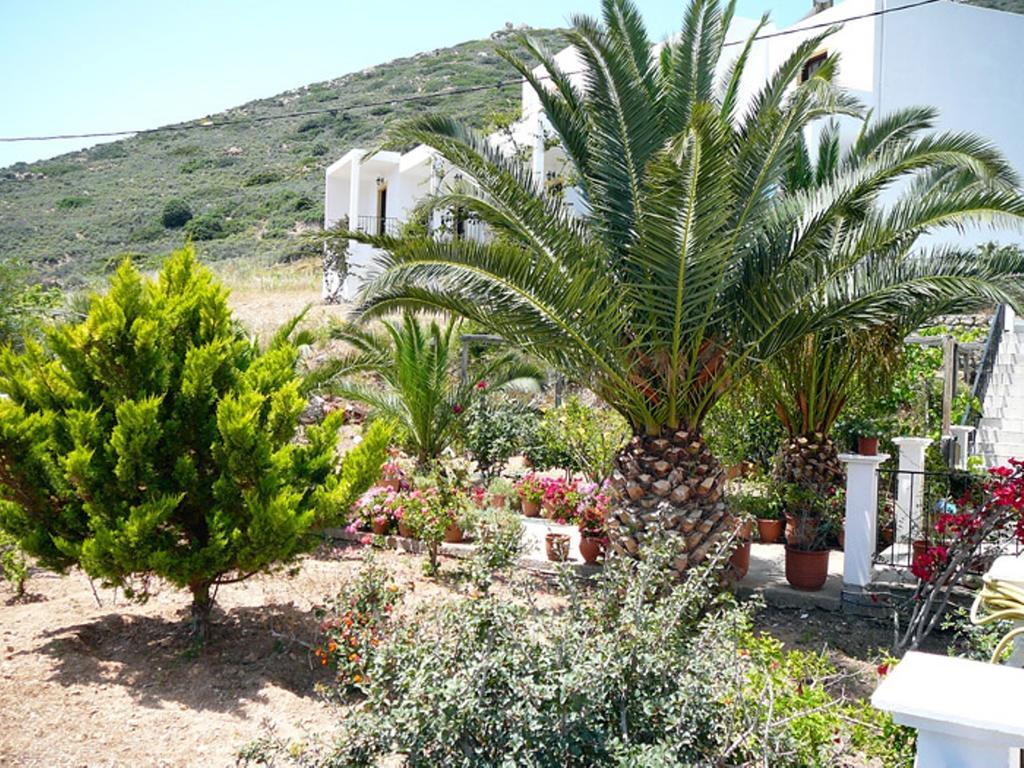 Hotel Porto Potha Telendos ภายนอก รูปภาพ
